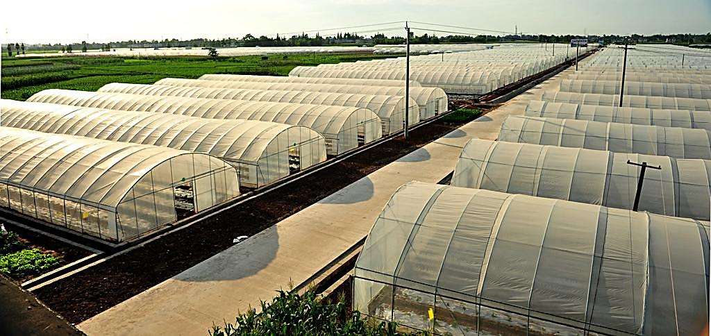 溫室大棚